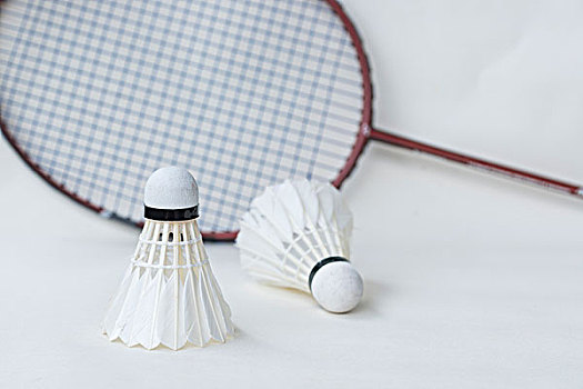 画更好的东 画更好的东