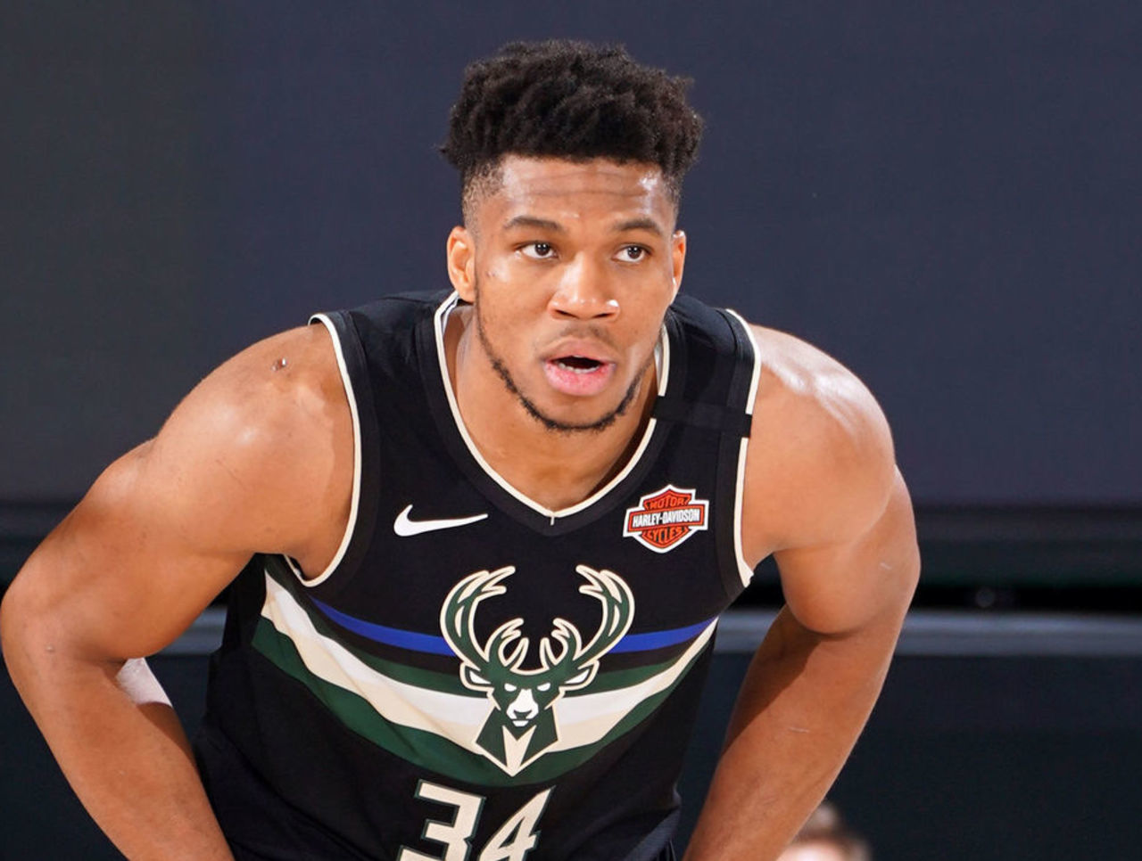 多年的贡献 多年的贡献