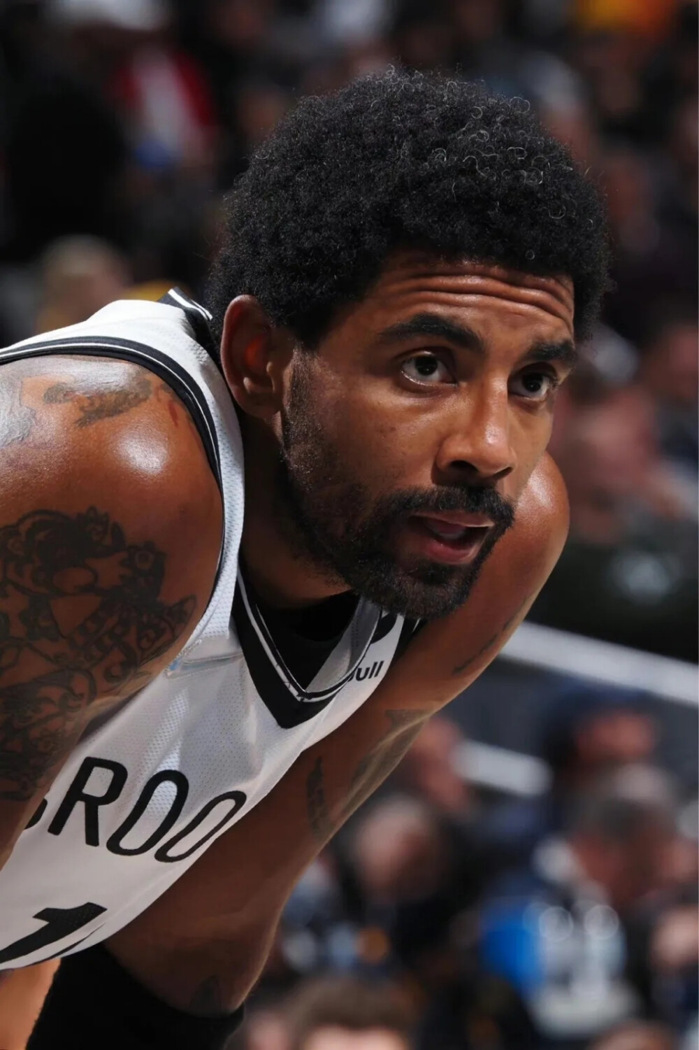 魂与大龙视 魂与大龙视